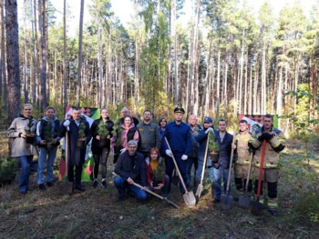 Посадка молодого кедрового леса в Челябинском городском бору